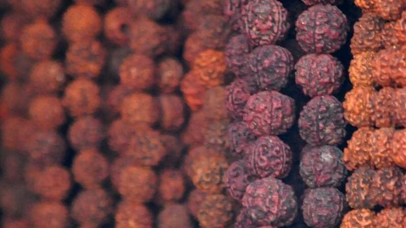 दो_मुखी_रुद्राक्ष, 2 Mukhi Rudraksha