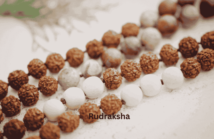 21 Mukhi Rudraksha