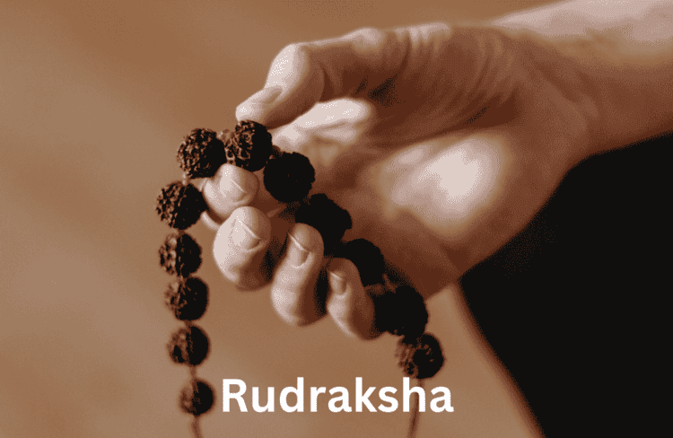 17 Mukhi Rudraksha