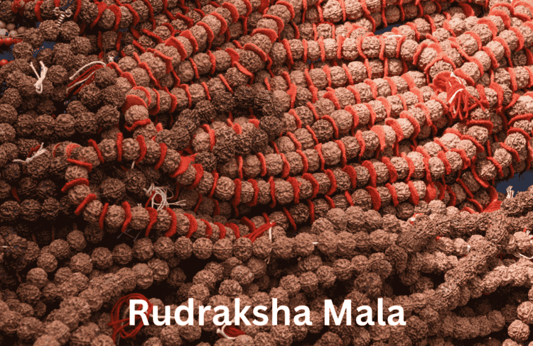 18 मुखी रुद्राक्ष
