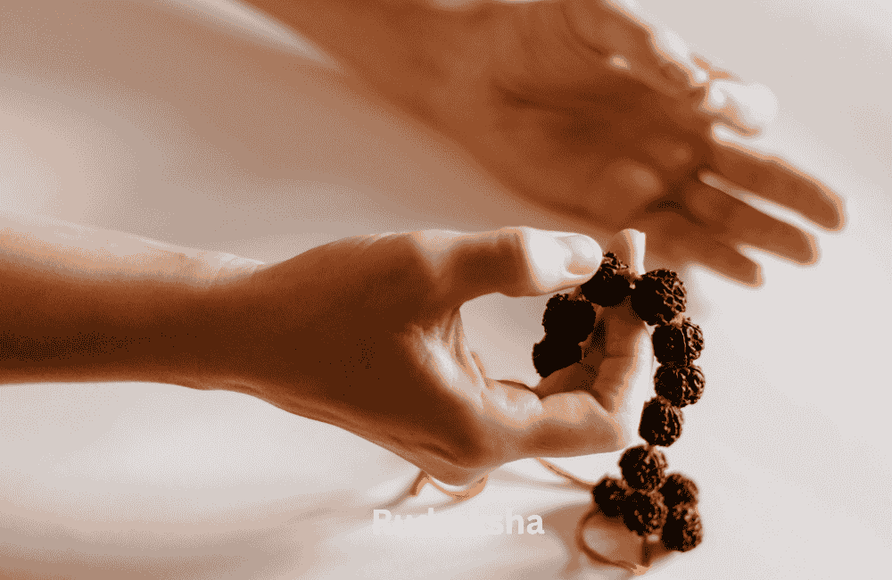 13 Mukhi Rudraksha