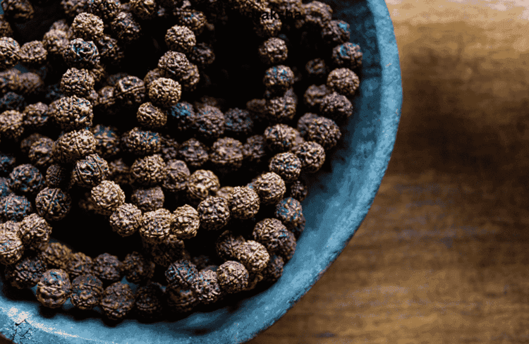 15 Mukhi Rudraksha, 4 Mukhi Rudraksha,