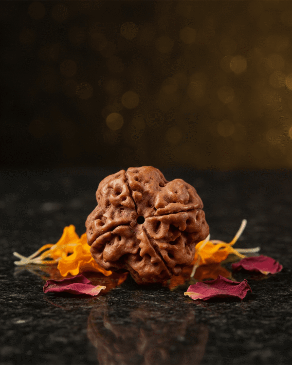 4 Mukhi Rudraksha