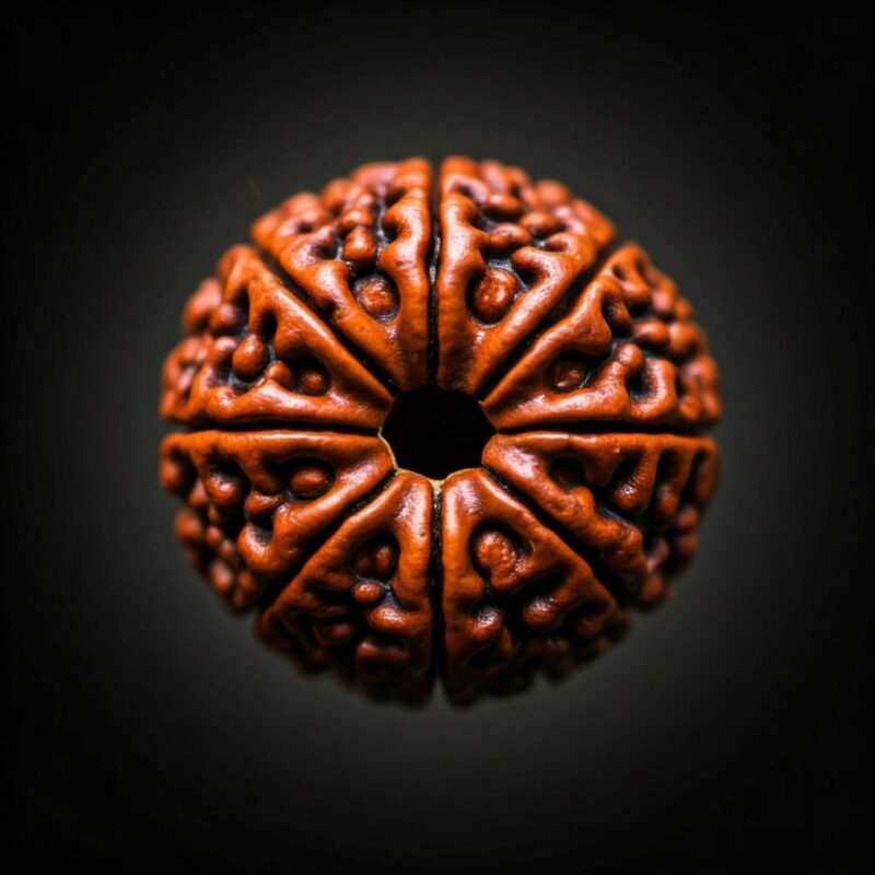 science-behind-rudraksha