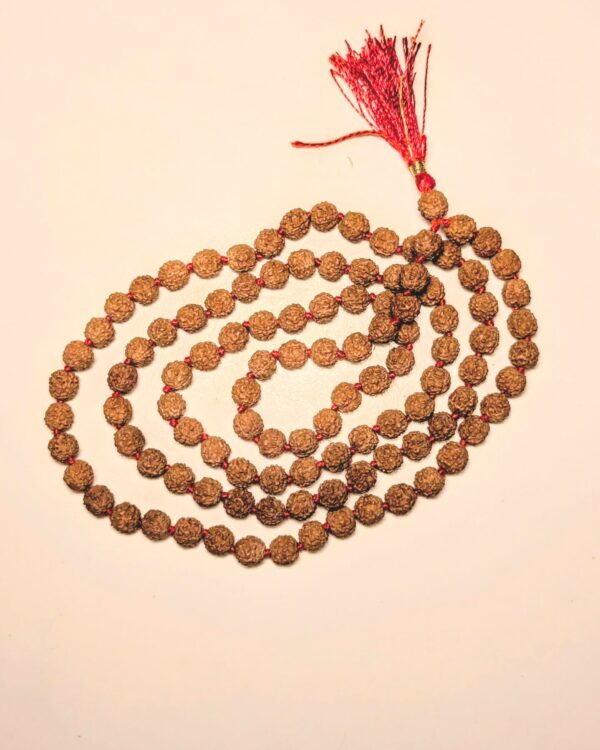 Original Rudraksha Mala Authentic Rudraksha Mala 108 Rudraksha Beads Mala Certified Rudraksha Mala Himalayan Rudraksha Necklace
